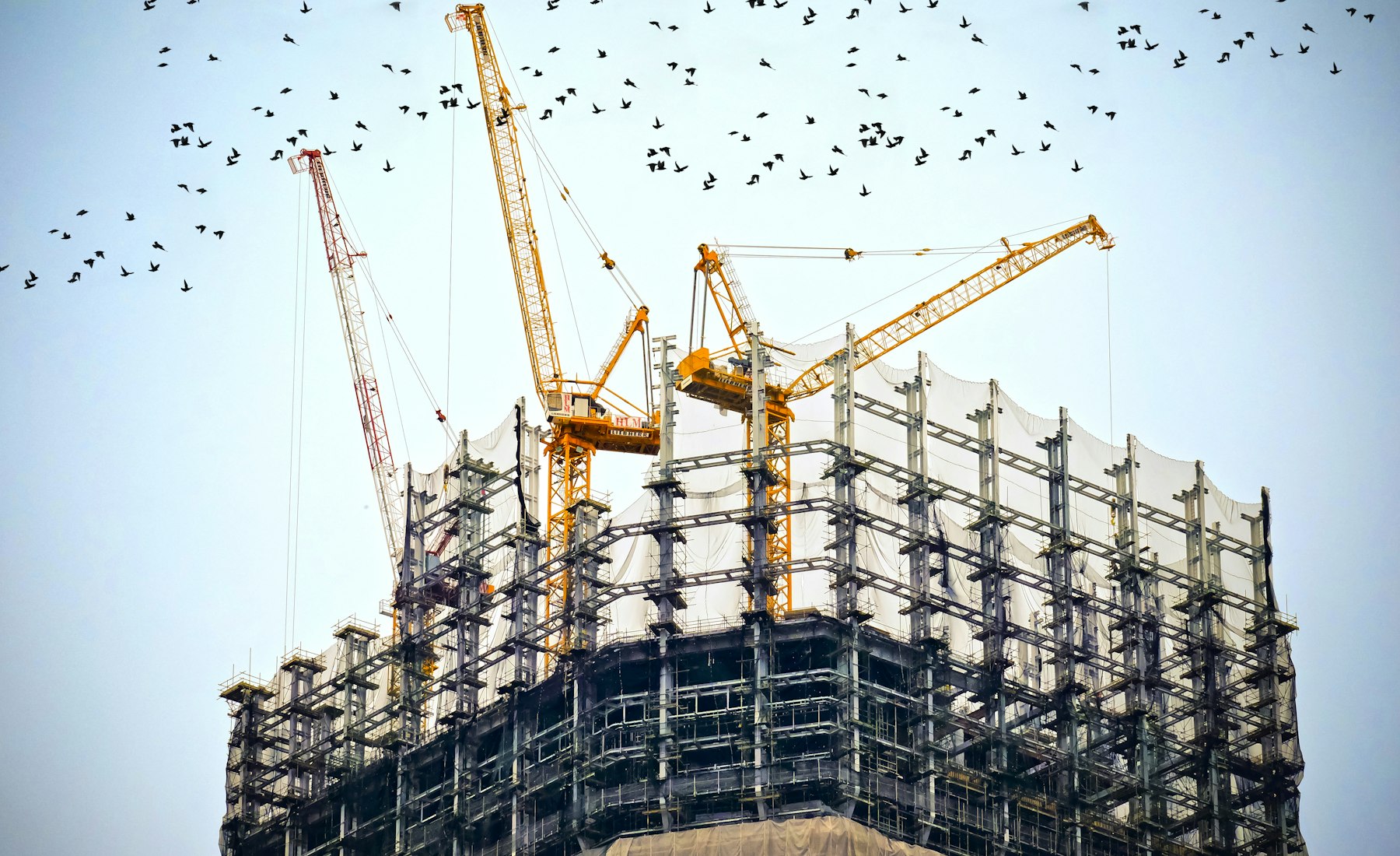 Construction frame, cranes over the build
