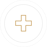 Healthcare Icon
